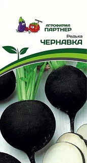 Редька Чернавка, 3 г. Агрофирма Партнер.