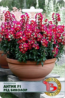 Антирринум Антик F1 Ред Биколор, 20 шт. Биотехника