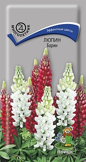 Люпин Барин, 1 г