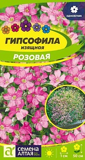 Гипсофила Изящная Розовая, 0,3 г