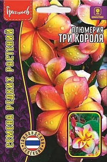 Плюмерия Три Короля (франжипани), 3 шт.