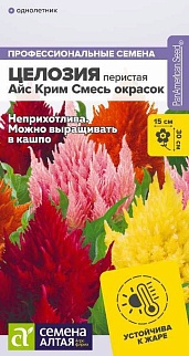 Целозия Айс Крим Смесь окрасок перистая, 10 шт. 