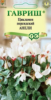 Цикламен персидский Анели, 3 шт. 