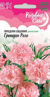 Гвоздика садовая гренадин Роза, 0,1 г. Розовые сны.