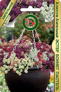 Алиссум Эстер Боннет Пастель, 40 шт. Биотехника