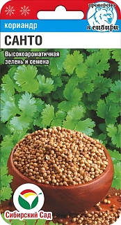 Кориандр Санто, 3 г. Сибирский сад