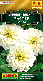Цинния изящная Мастер, белая, 12 шт.