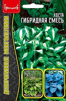Хоста гибридная, 0,02 г