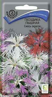 Гвоздика пышная Смесь окрасок, 0,1 г