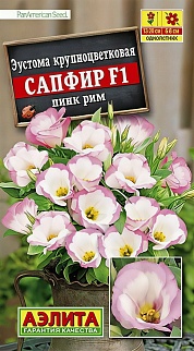Эустома Сапфир F1 пинк рим крупноцветковая, 5 шт.