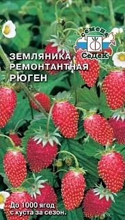 Земляника Рюген, ремонтантная, 0,04 г