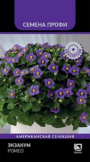 Экзакум Ромео, 5шт. Семена Профи
