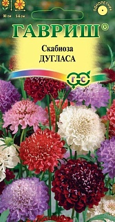 Скабиоза темнопурпурная Дугласа, смесь, 0,2 г