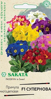 Примула многоцветковая Супернова F1, полиантовая 4 шт. Эксклюзив