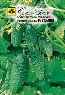 Огурец Удалец F1, 10 шт.
