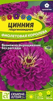 Цинния Мексика Фиолетовая Королева, 0,3 г 