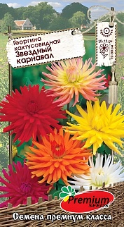 Георгина Звёздный карнавал, смесь, 0,1 г