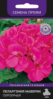 Пеларгония Маверик Пурпурная, 5 шт. Семена профи