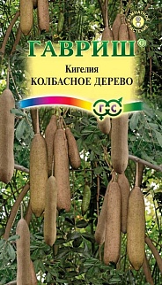 Кигелия Колбасное дерево, 3 шт.
