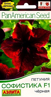Петуния Софистика черная F1 крупноцветковая, 4 шт.