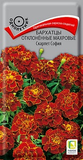 Бархатцы отклонённые махровые Скарлет София, 0,4 г
