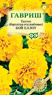 Бархатцы отклонённые Бой Еллоу, 0,02 г. Элитная клумба.