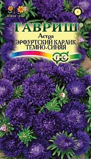 Астра Эрфуртский карлик тёмно-синяя, 0,3 г