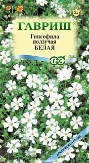 Гипсофила ползучая Белая, 0,05 г. Альпийская горка.