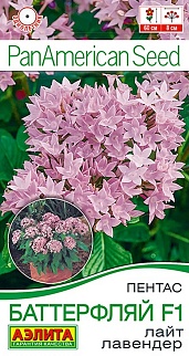 Пентас Баттерфляй F1 лайт лавендер, 3 шт.