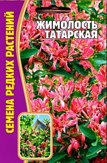 Жимолость Татарская, 15 шт.