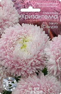 Астра китайская Хризантелла Сакура, 30 шт. Биотехника
