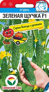 Огурец Зеленая щучка F1, 7 шт. Всегда с урожаем. Сибирский сад.
