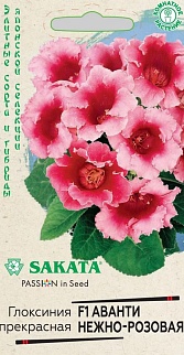 Глоксиния Аванти нежно-розовая F1, 5 шт. Саката.