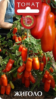 Томат Жиголо, 20 шт. Биотехника