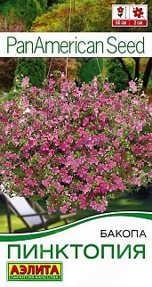 Бакопа Пинктопия, 3 шт.