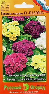 Примула махровая Палома F1, смесь, 5 шт. Русский огород
