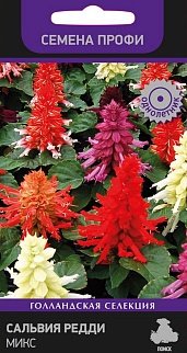 Сальвия Редди Микс, 10 шт. Семена профи