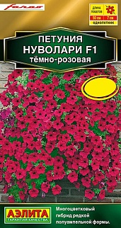 Петуния Нуволари F1 полуампельная тёмно-розовая, 5 шт.