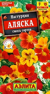 Настурция Аляска, низкорослая, смесь сортов, 1 г