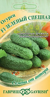 Огурец Зеленый спецназ F1, 10 шт. Авторские семена. 
