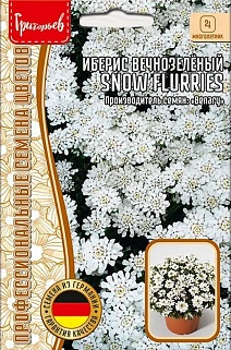 Иберис вечнозеленый Snow Flurries (Снежный шквал), 5 шт.