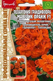 Пеларгония грандифлора Маверик Оранж F1, 3 шт.