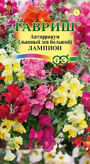 Львиный зев Лампион F1, ампельный, 5 шт.