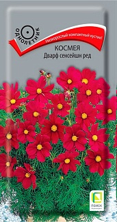 Космея Дварф сенсейшн ред, 0,2 г