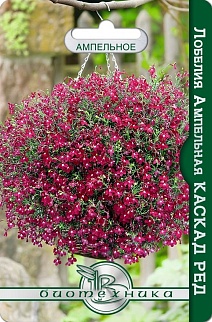 Лобелия ампельная Каскад Ред, 1000 шт. Биотехника