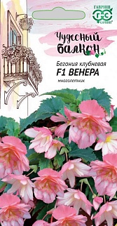 Бегония Венера F1, 4 шт. Гранулы. Чудесный балкон.