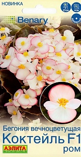 Бегония вечноцветущая Коктейль F1 ром, 7 шт.