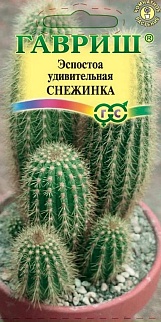 Эспостоа шерстистая Снежинка, 5 шт.