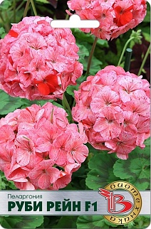 Пеларгония Руби Рейн F1, 5 шт. Биотехника