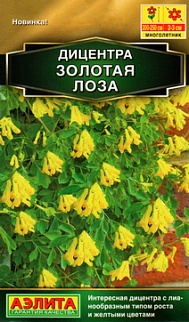 Дицентра Золотая лоза, 5 шт.